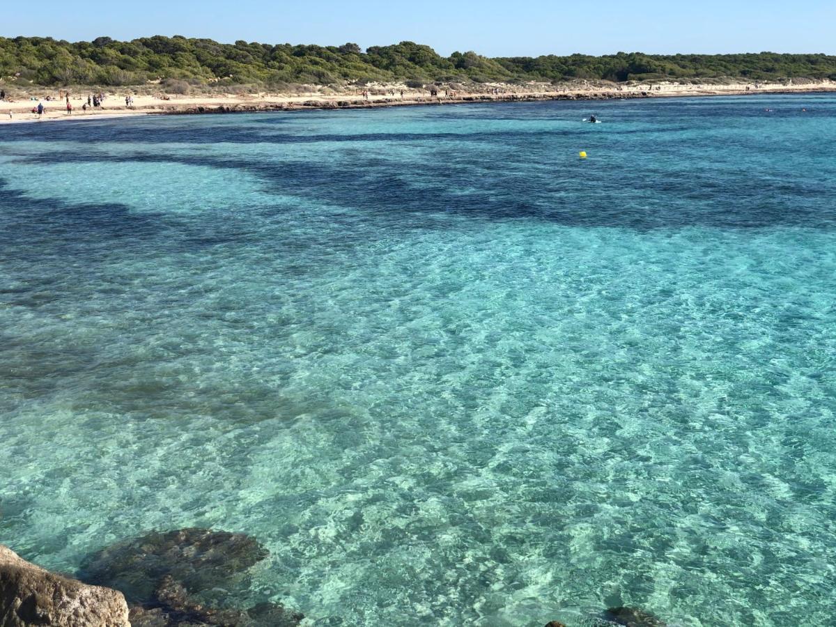 Balco D'Es Trenc Apartment Sa Rapita Bagian luar foto